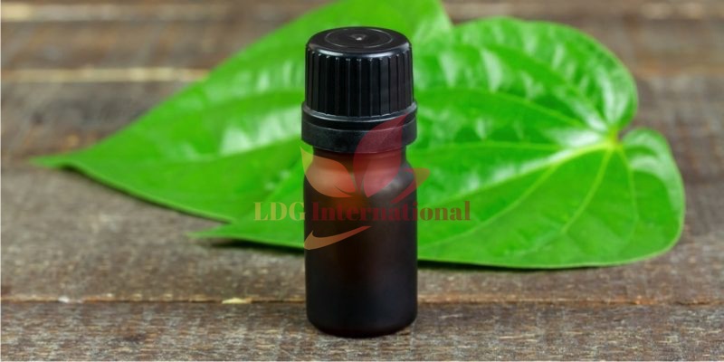 Betel Leaf Oil